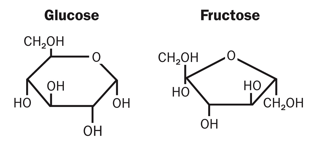Glucose and Fructose