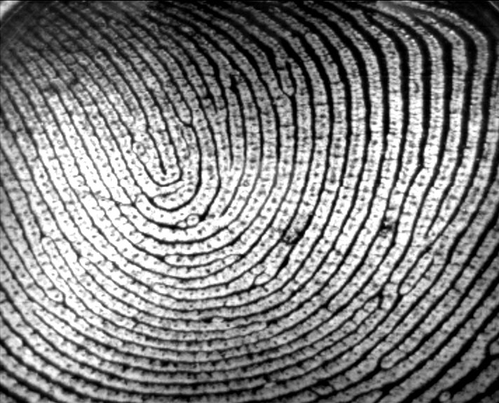 fingerprint technology