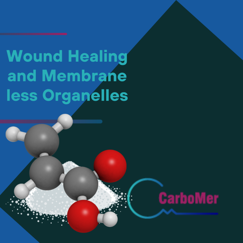 Wound Healing and Membrane less Organelles